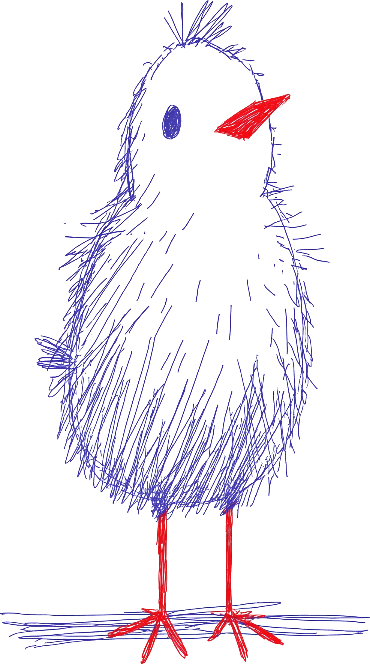 A sketched bird staring at you